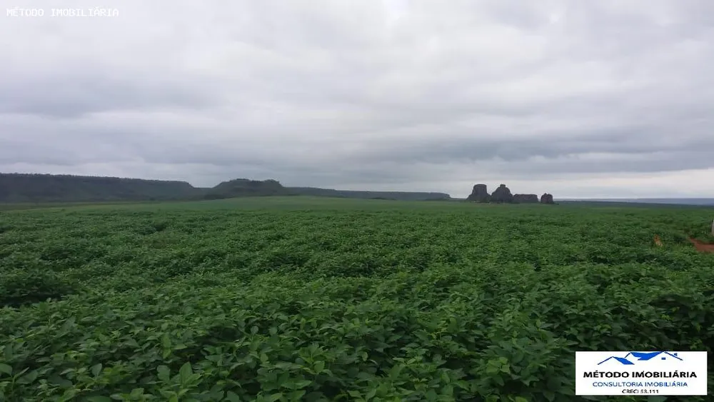 Fazenda - Foto 7