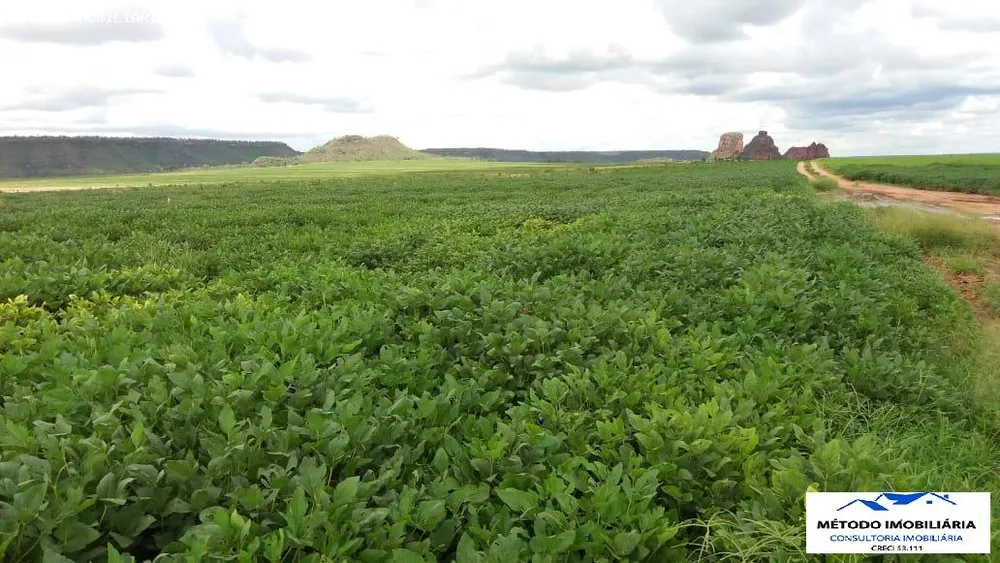 Fazenda - Foto 5