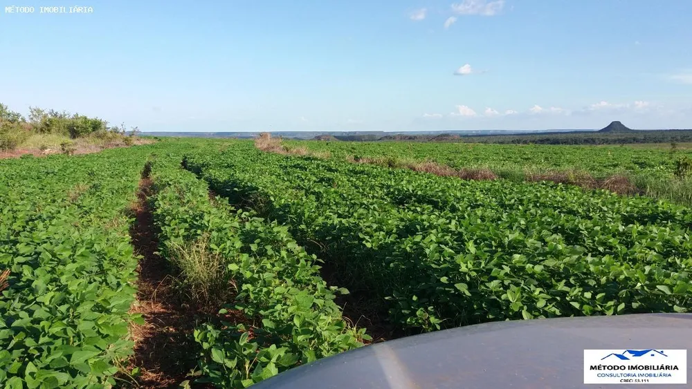 Fazenda - Foto 6