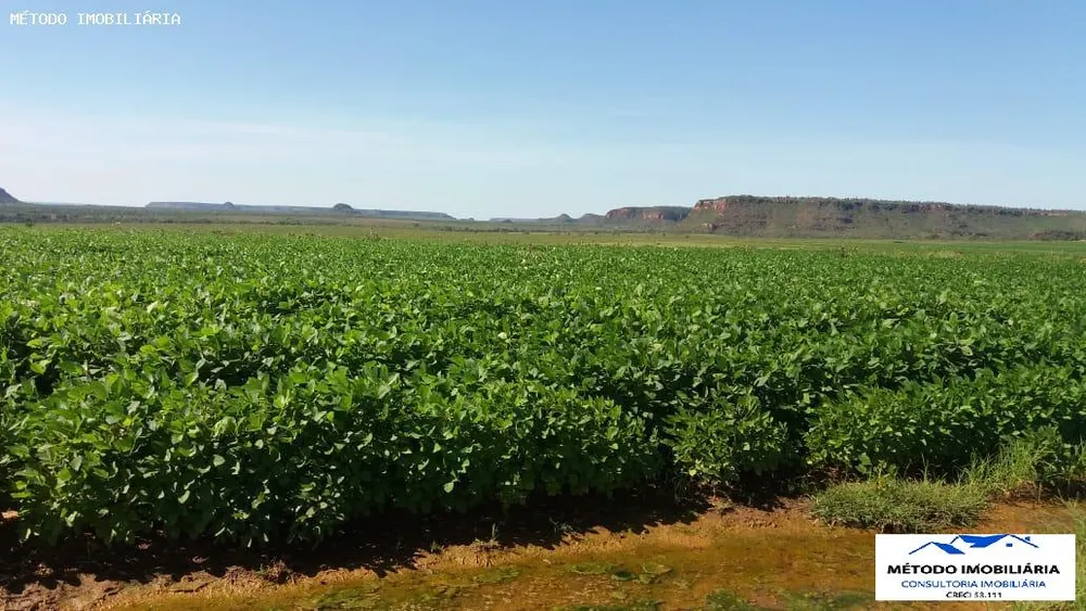 Fazenda - Foto 4