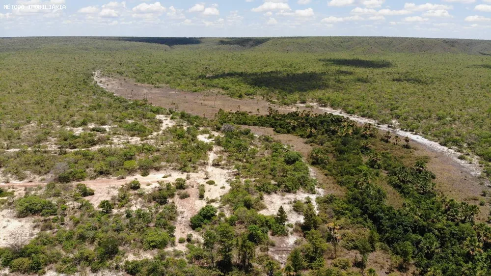 Fazenda, 14000 hectares - Foto 7