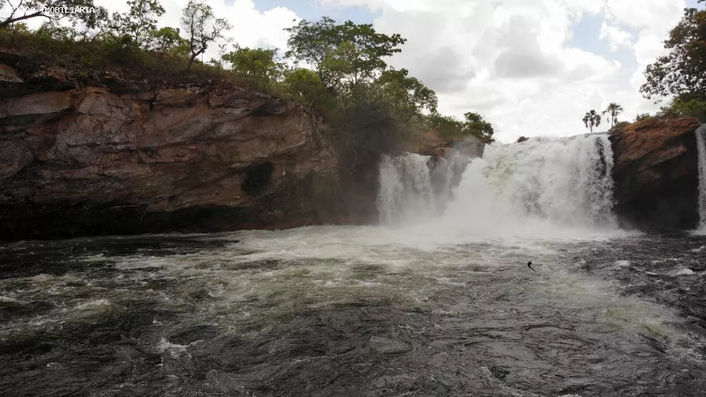 Fazenda, 14000 hectares - Foto 6