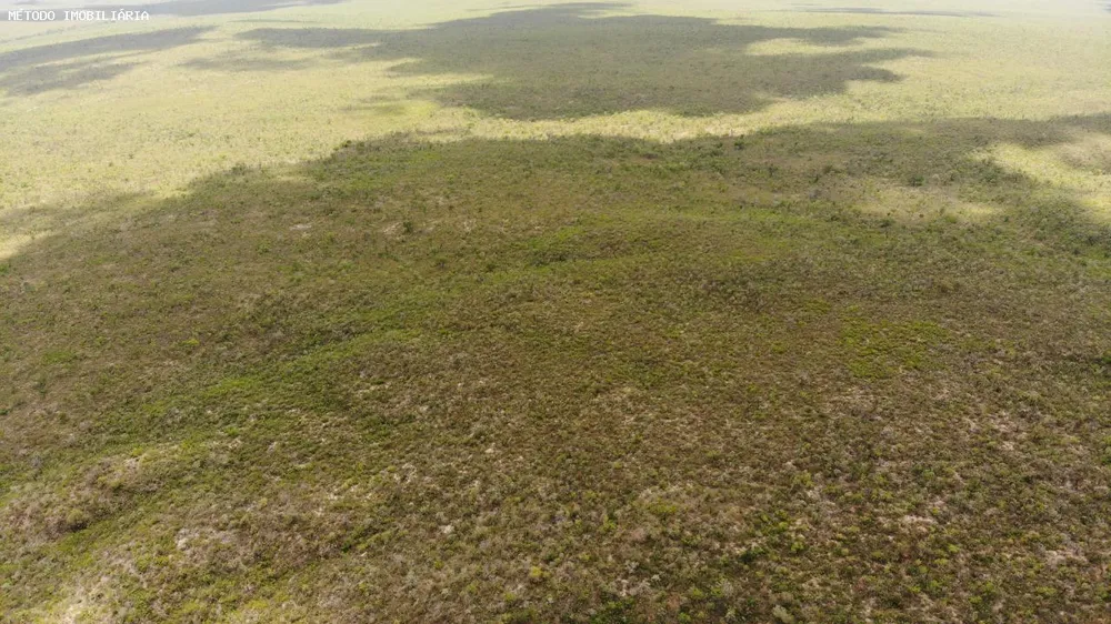 Fazenda, 14000 hectares - Foto 12