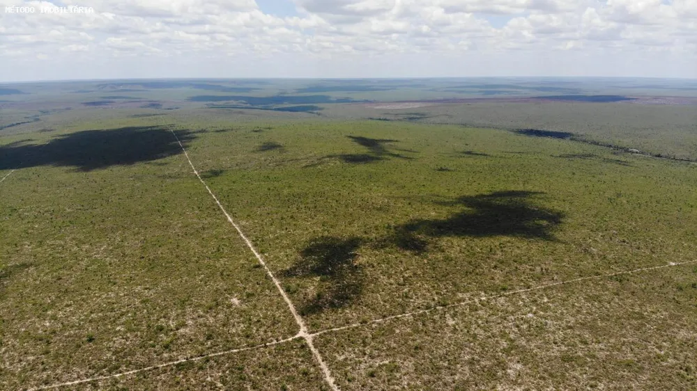 Fazenda, 14000 hectares - Foto 10