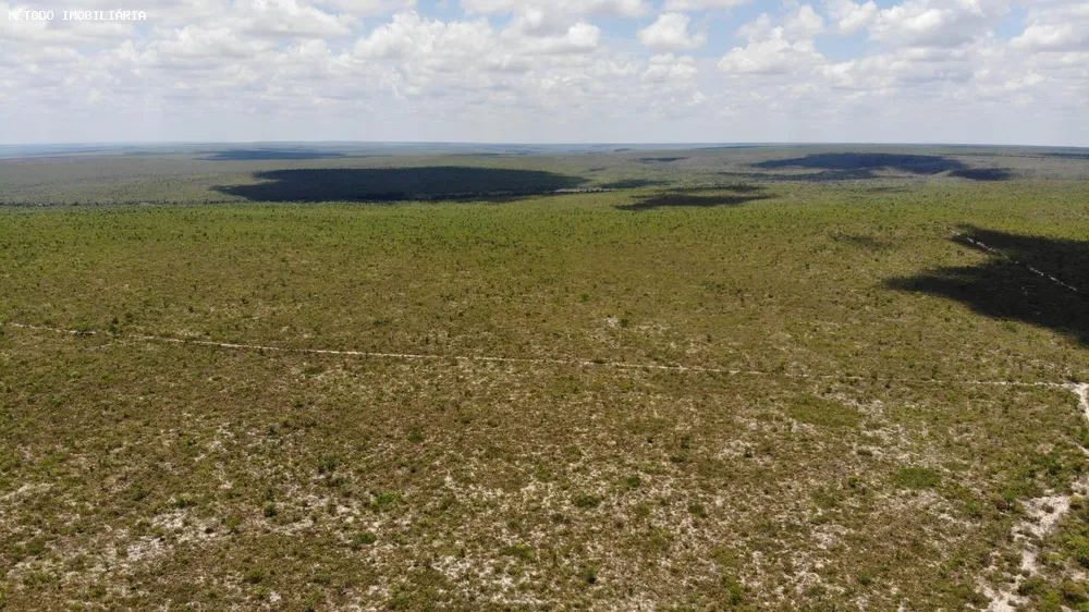Fazenda, 14000 hectares - Foto 11