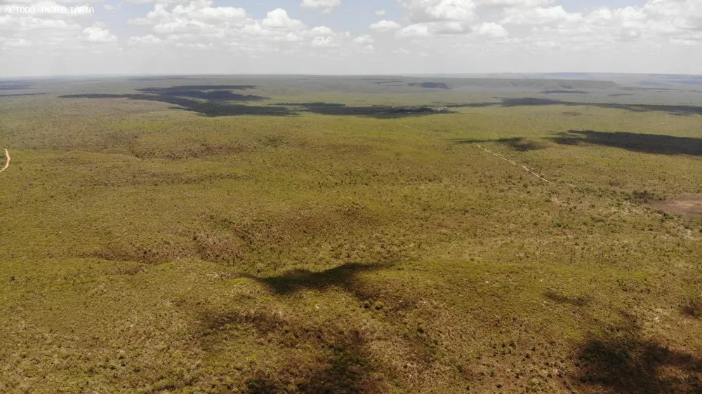 Fazenda, 14000 hectares - Foto 8