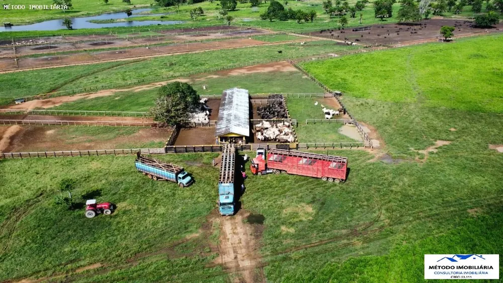 Fazenda, 2085 hectares - Foto 2