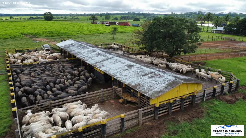 Fazenda, 2085 hectares - Foto 16