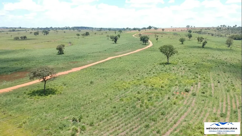Fazenda - Foto 5
