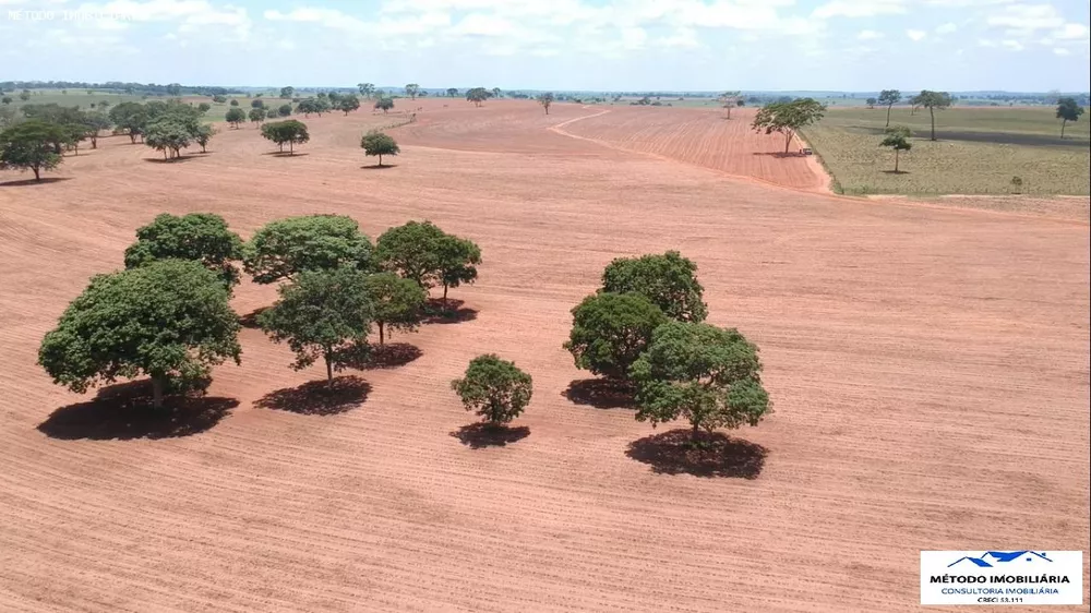 Fazenda - Foto 7