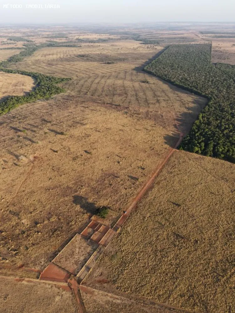Fazenda, 288 hectares - Foto 9