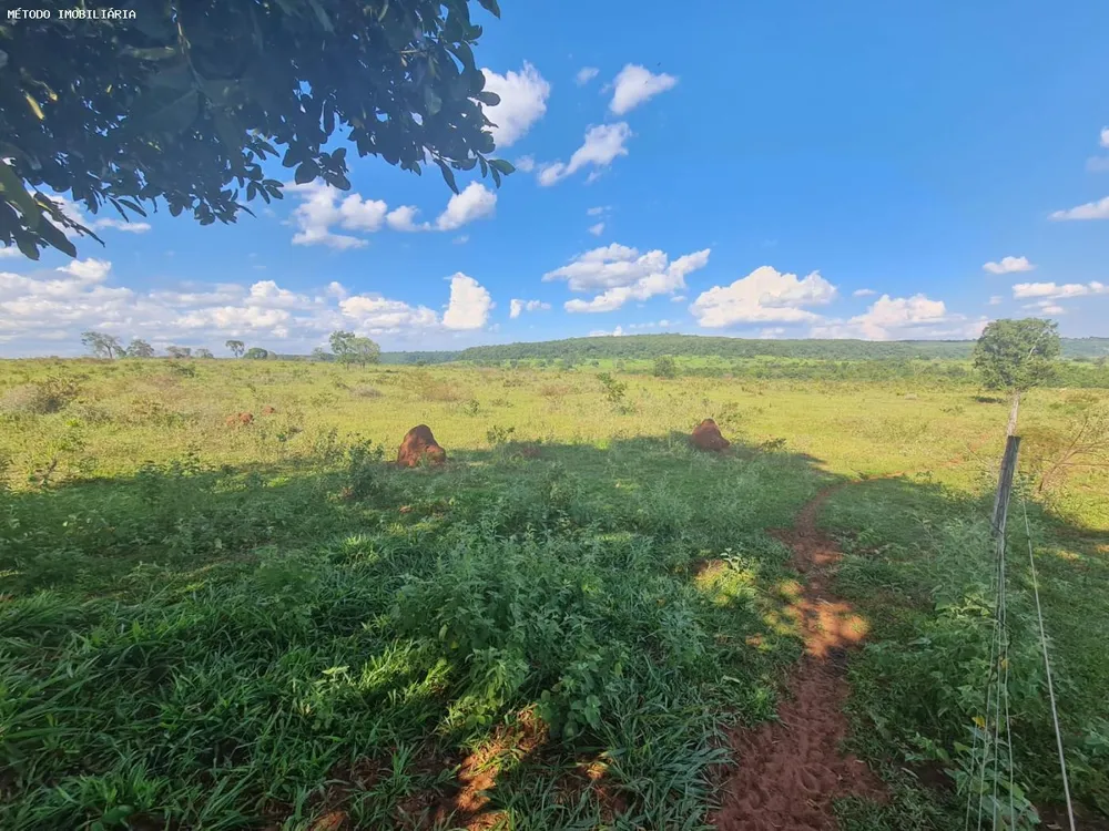 Fazenda, 288 hectares - Foto 2