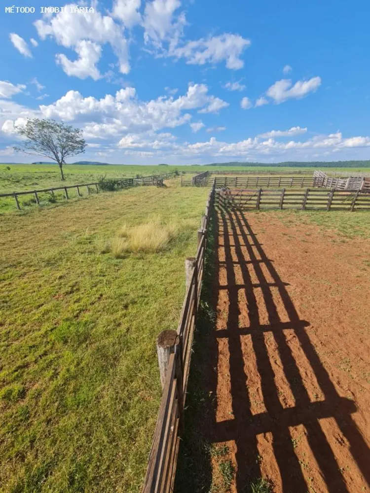 Fazenda, 288 hectares - Foto 3
