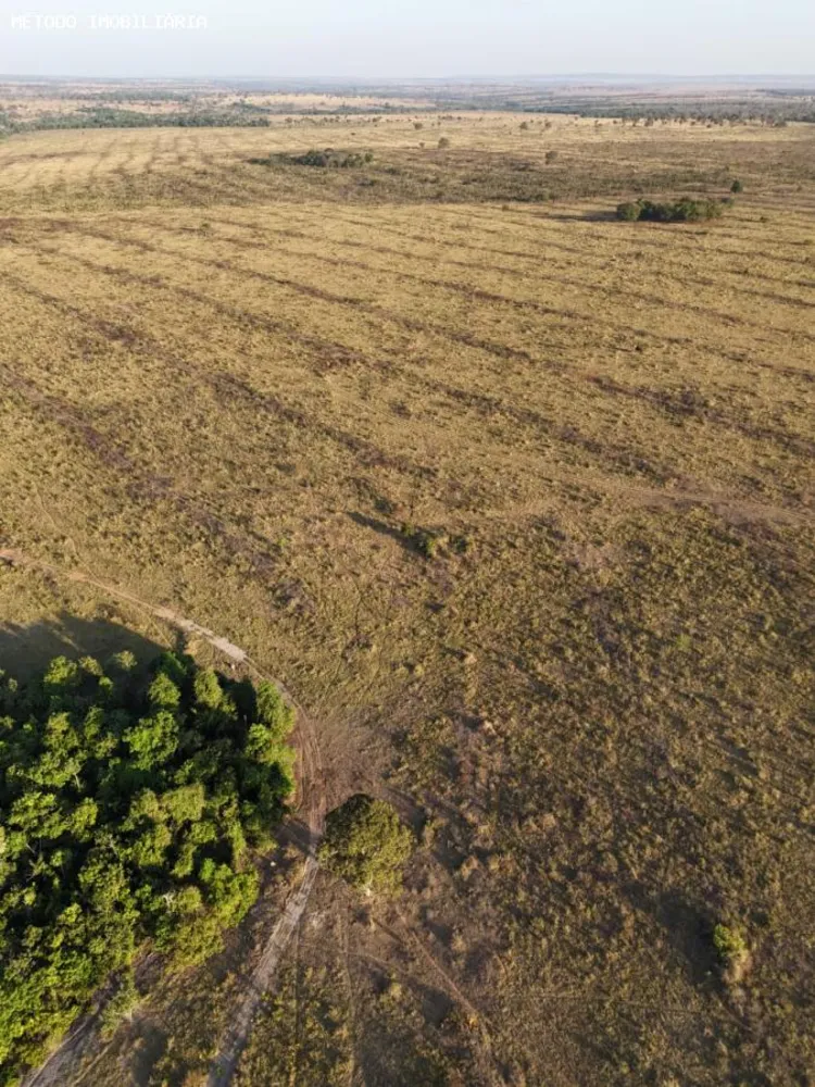 Fazenda, 288 hectares - Foto 8