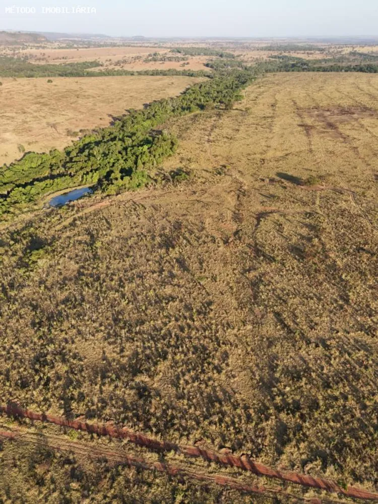 Fazenda, 288 hectares - Foto 6