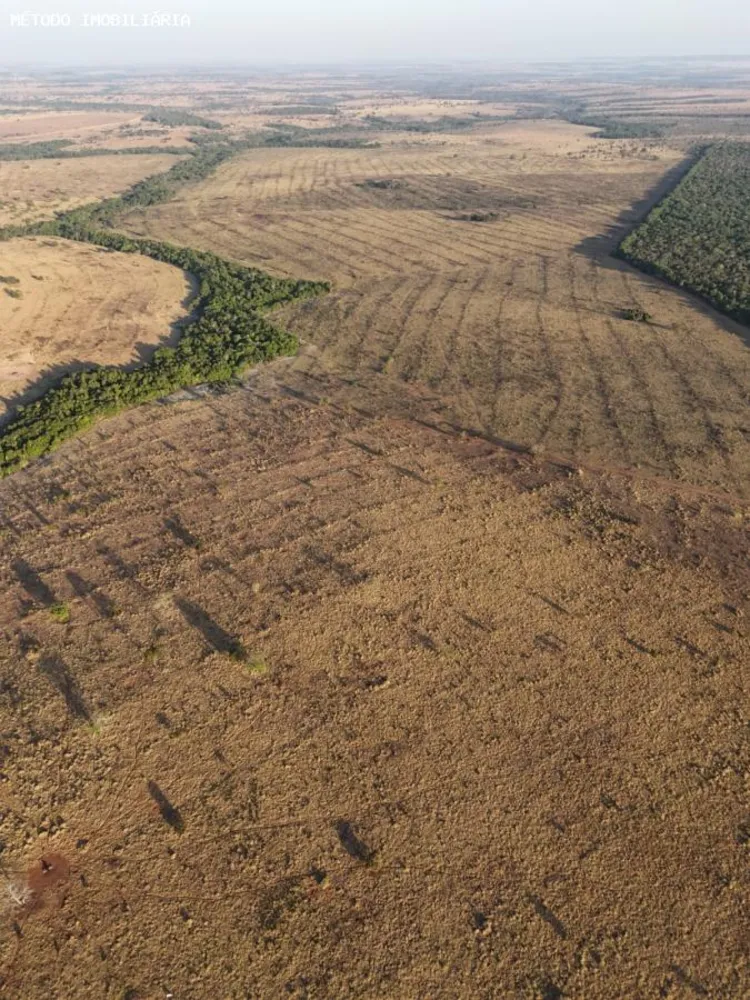 Fazenda, 288 hectares - Foto 7