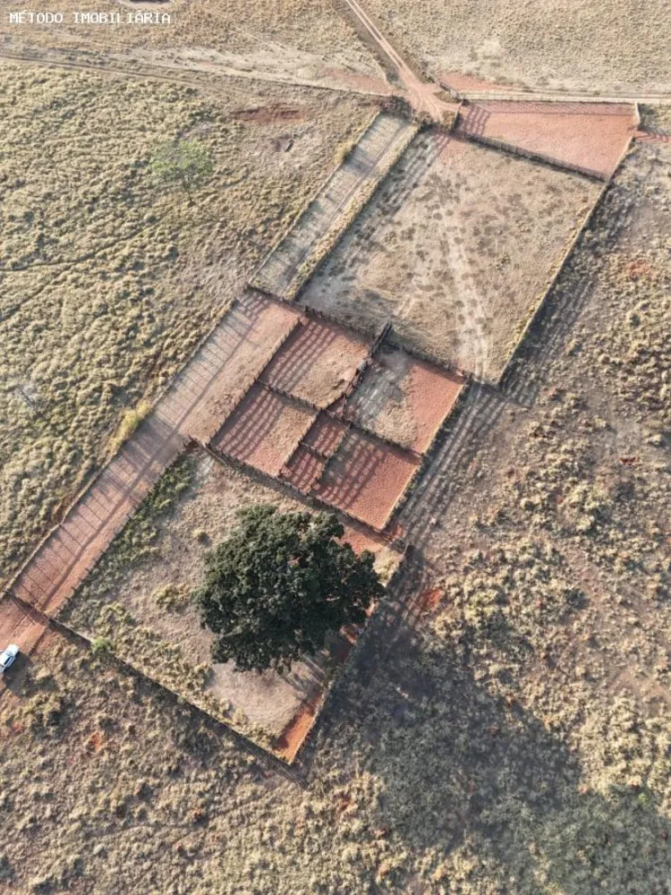 Fazenda, 288 hectares - Foto 10