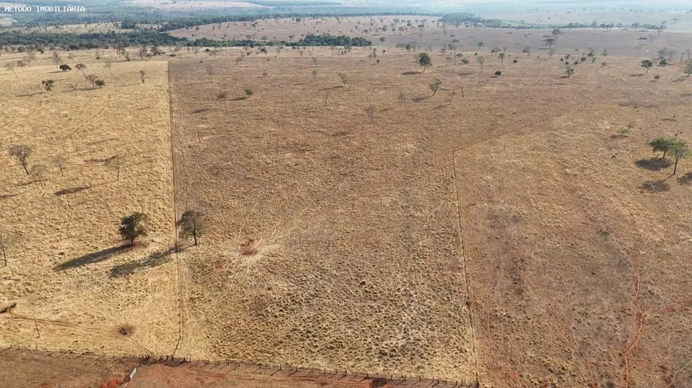Fazenda, 288 hectares - Foto 4