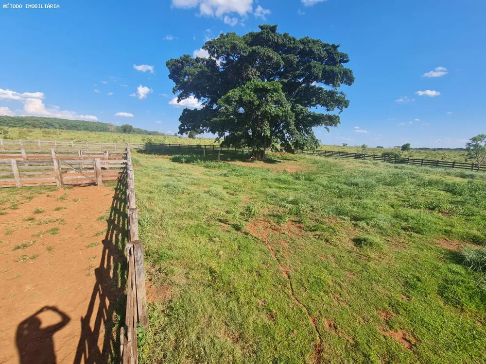 Fazenda, 288 hectares - Foto 1