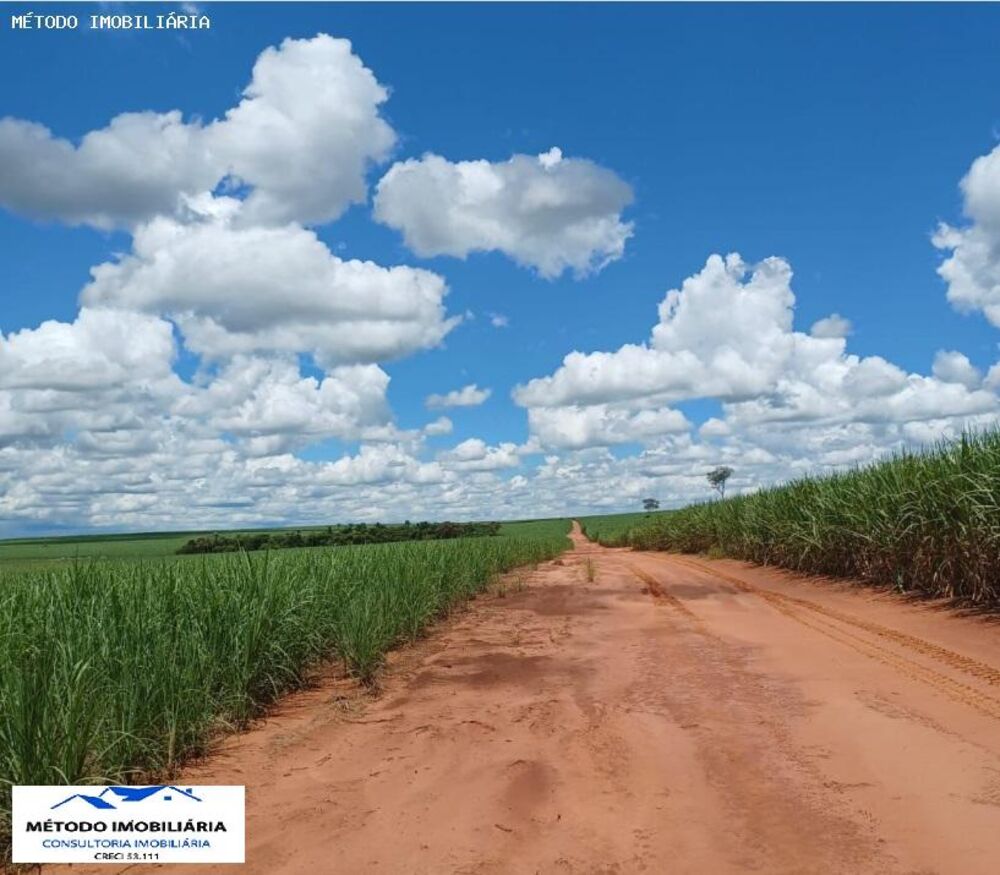 Fazenda - Foto 4