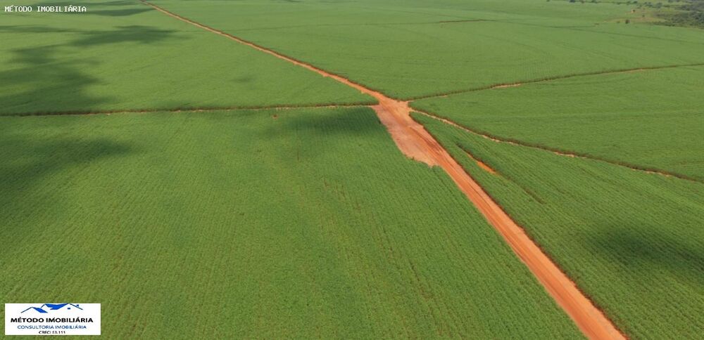 Fazenda - Foto 5