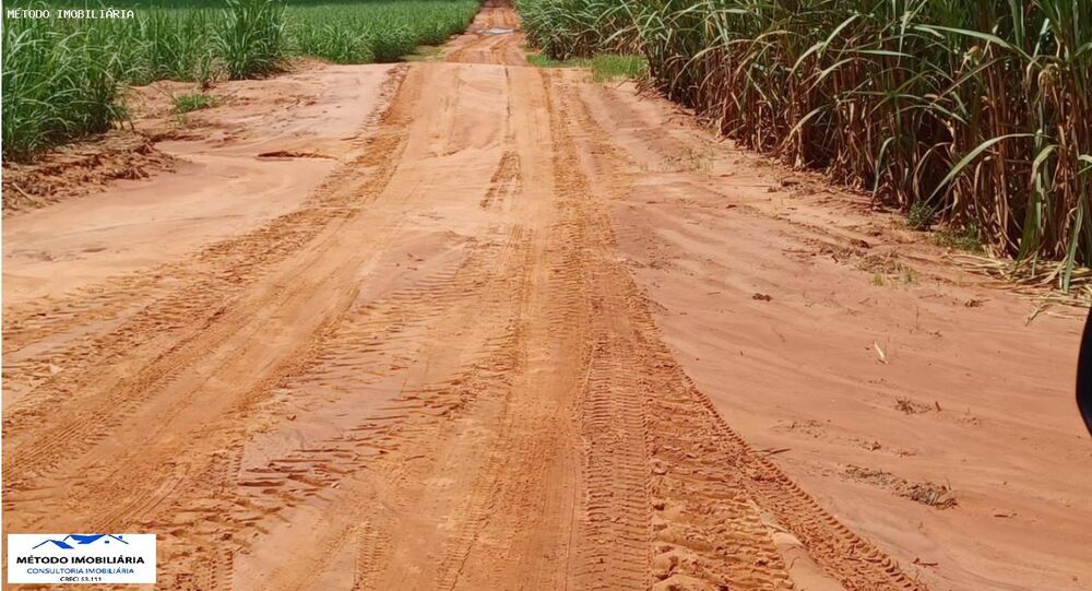 Fazenda - Foto 1