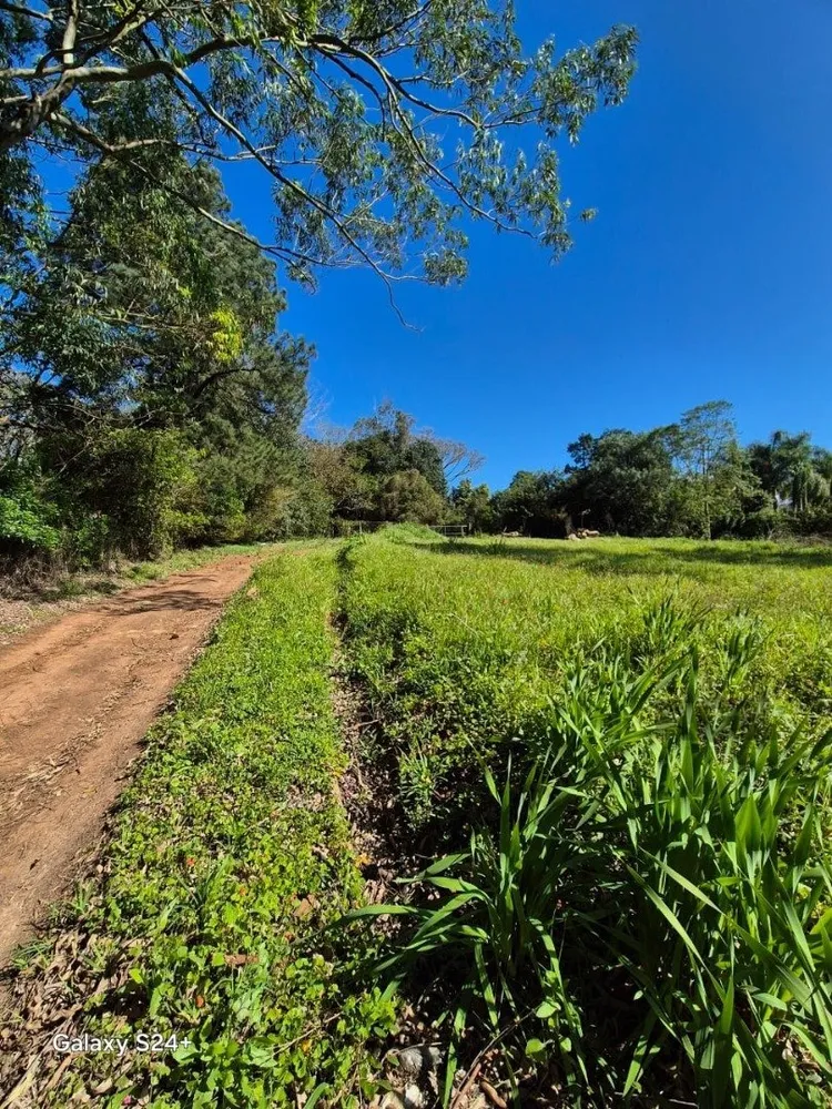 Sítio - Foto 6
