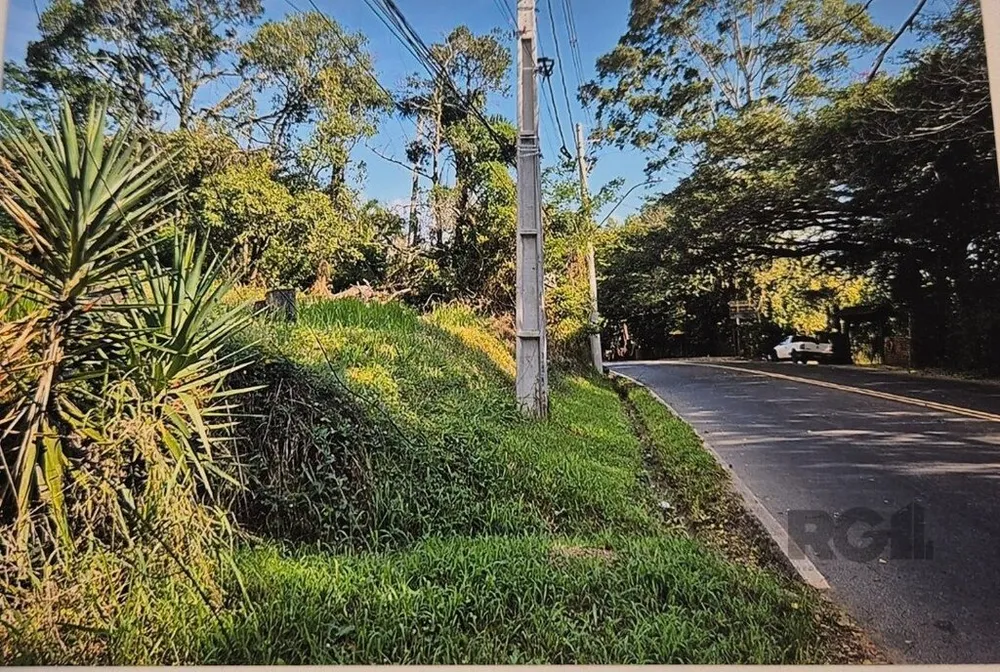 Sítio - Foto 5