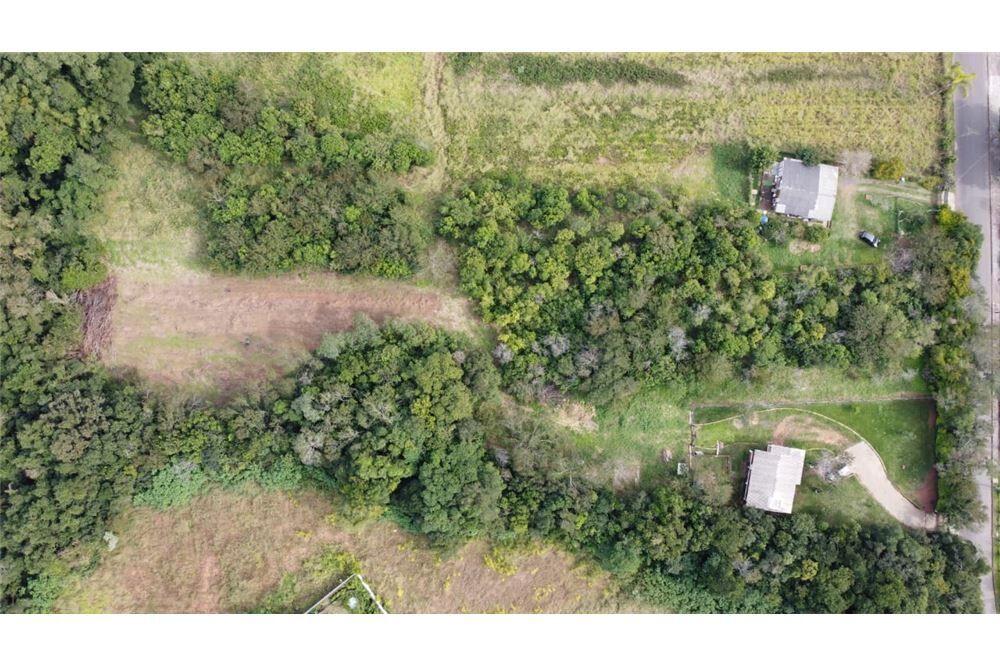 Terreno - Foto 3