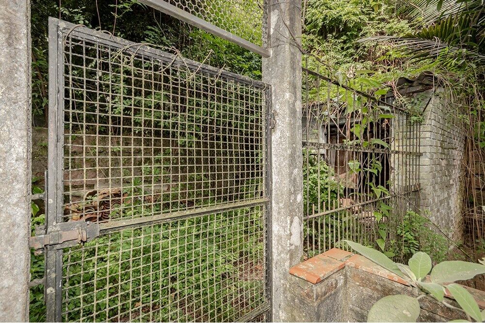 Casa, 5 quartos - Foto 4