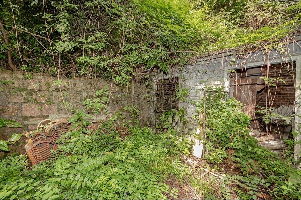 Casa, 5 quartos - Foto 1