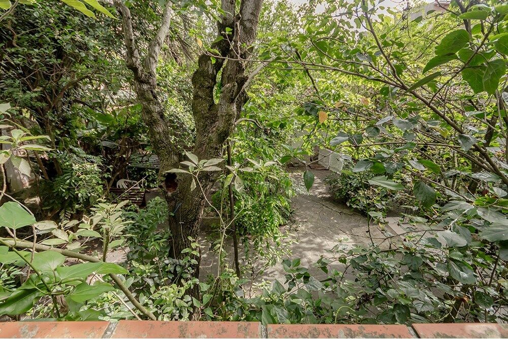 Casa, 5 quartos - Foto 5