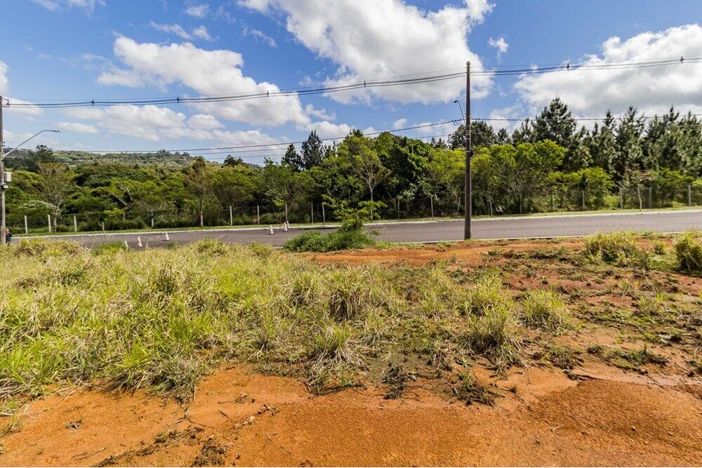 Terreno - Foto 2