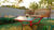 Apartamento, 2 quartos, 47 m² - Foto 13