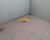 Casa, 3 quartos, 136 m² - Foto 13