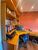 Apartamento, 3 quartos, 170 m² - Foto 7