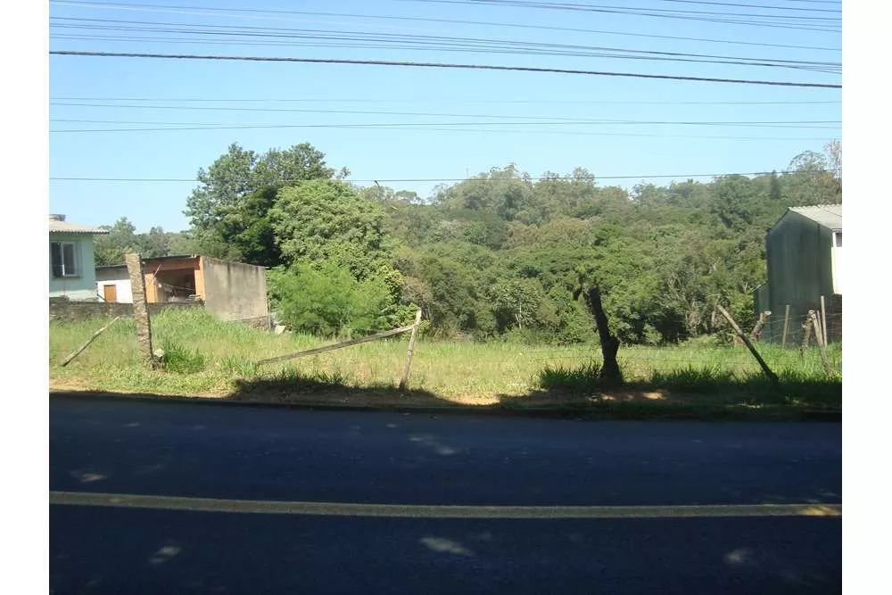 Terreno à venda - Foto 4