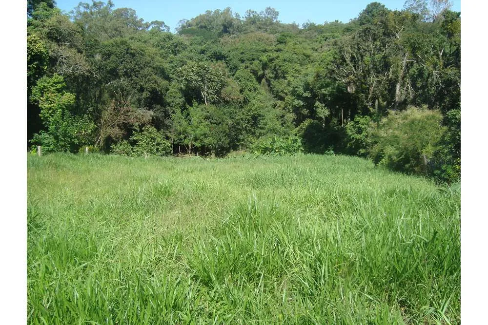 Terreno - Foto 5