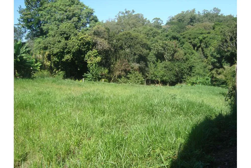 Terreno - Foto 7