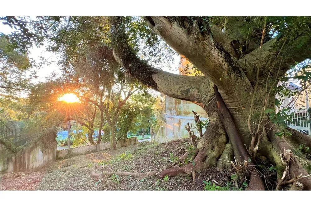 Terreno - Foto 10
