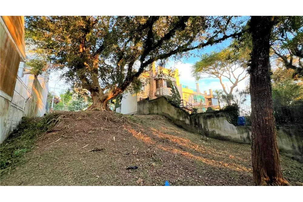 Terreno - Foto 6