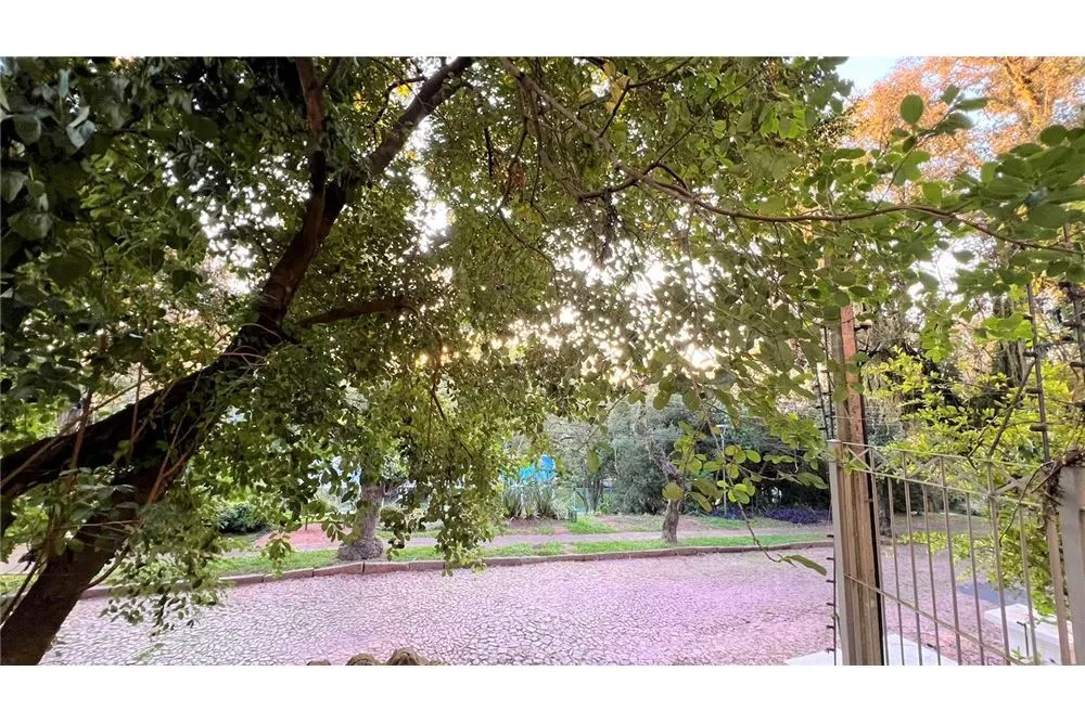Terreno - Foto 11