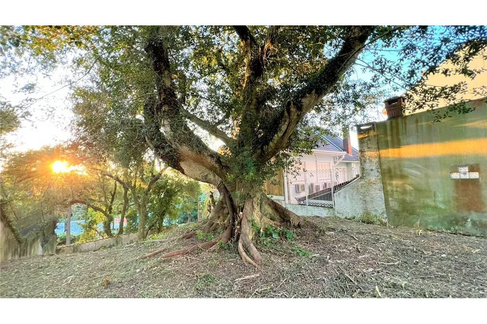 Terreno - Foto 7