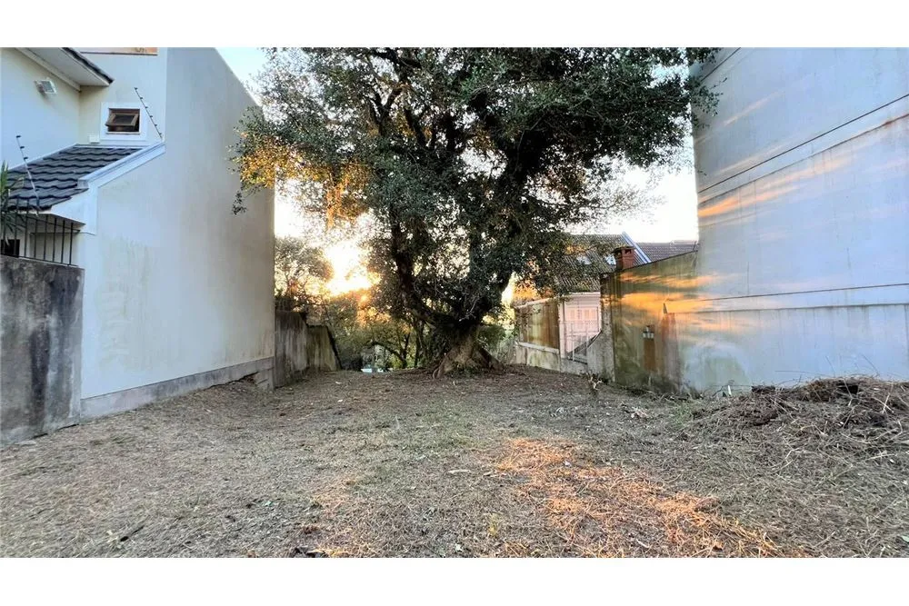 Terreno - Foto 9