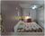 Casa, 5 quartos, 300 m² - Foto 5