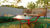 Apartamento, 2 quartos, 67 m² - Foto 13