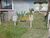 Terreno, 187 m² - Foto 2