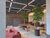 Apartamento, 2 quartos, 37 m² - Foto 2