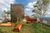 Apartamento, 3 quartos, 115 m² - Foto 5
