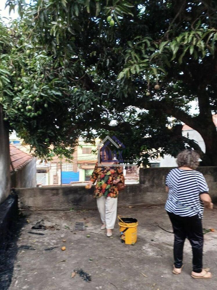 Casa, 3 quartos, 260 m² - Foto 5